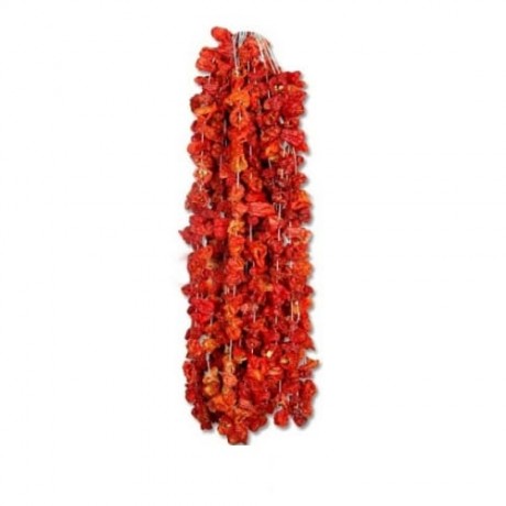 DOLMA BİBER KURUSU  1 BAĞ (TATLI)  